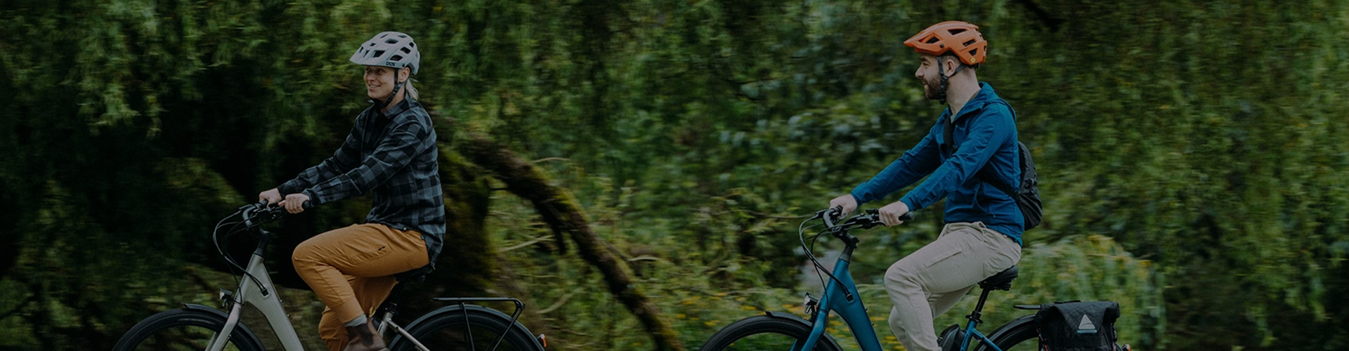 banner image