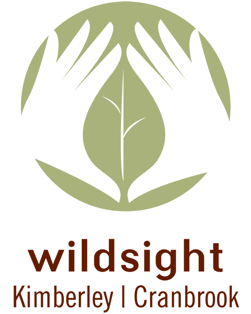 raffle logo
