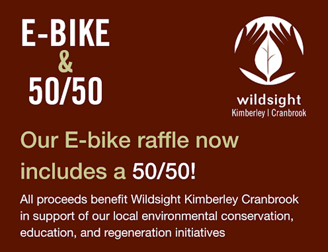 raffle splash